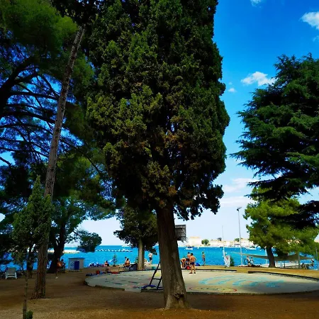 In The Very Heart Of - 50m To The