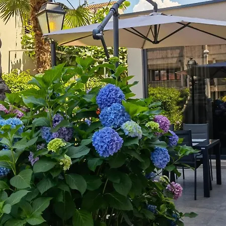 Apartament In The Very Heart Of - 50m To The Poreč