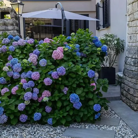 In The Very Heart Of - 50m To The Apartment