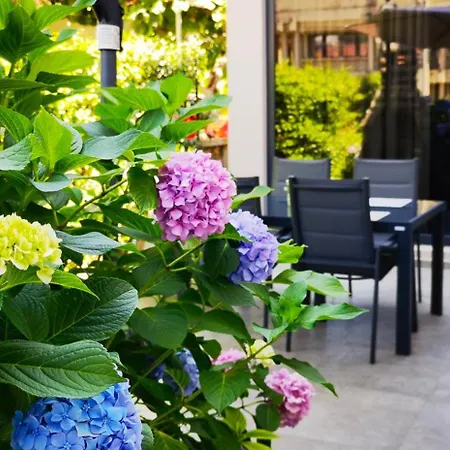 In The Very Heart Of - 50m To The *