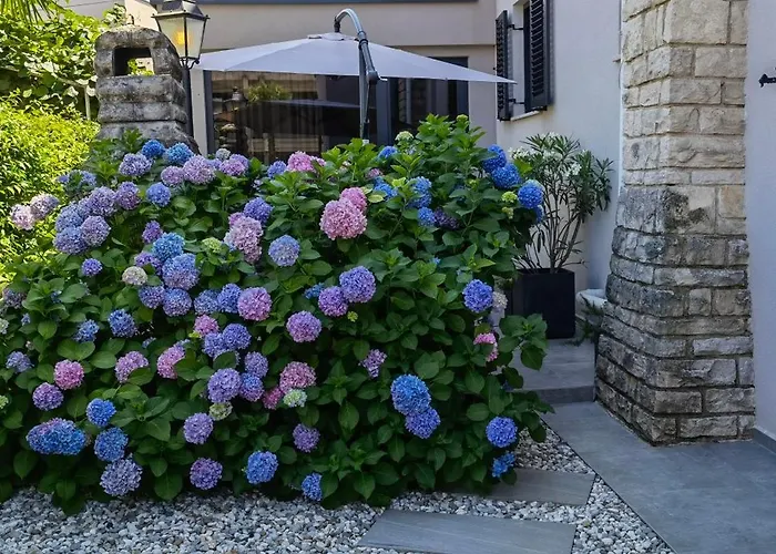 In The Very Heart Of - 50m To The شقة