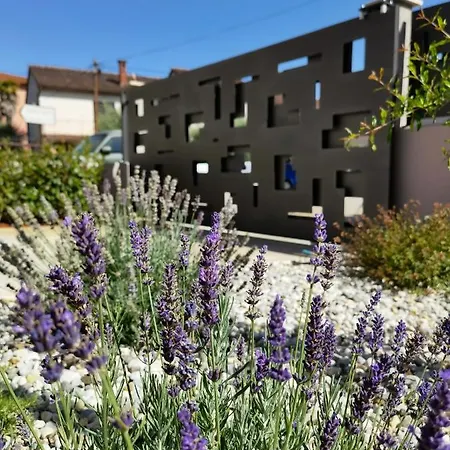 In The Very Heart Of - 50m To The 公寓 波雷奇