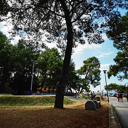 In The Very Heart Of - 50m To The 公寓