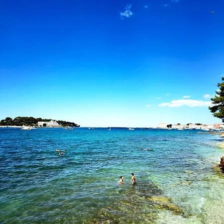 In The Very Heart Of - 50m To The