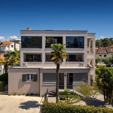 In The Very Heart Of - 50m To The * 波雷奇