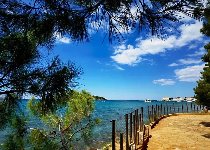 Apartment In The Very Heart Of - 50m To The