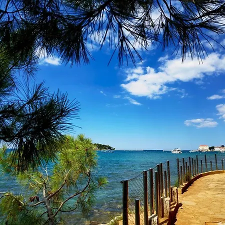 Apartamento In The Very Heart Of - 50m To The